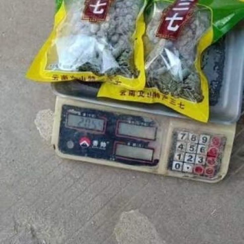 云南文山三七10头20头30头田七自产自销农户价正品包邮