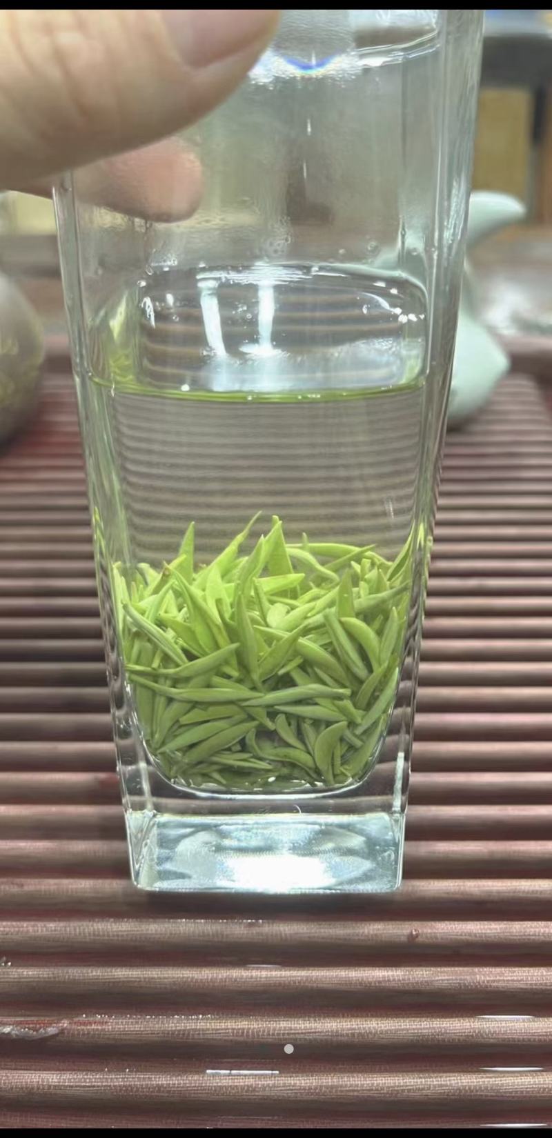 高山清明雨前茶