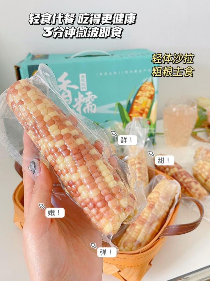 西双版纳香糯小玉米(熟制)净含2千克精美礼盒装