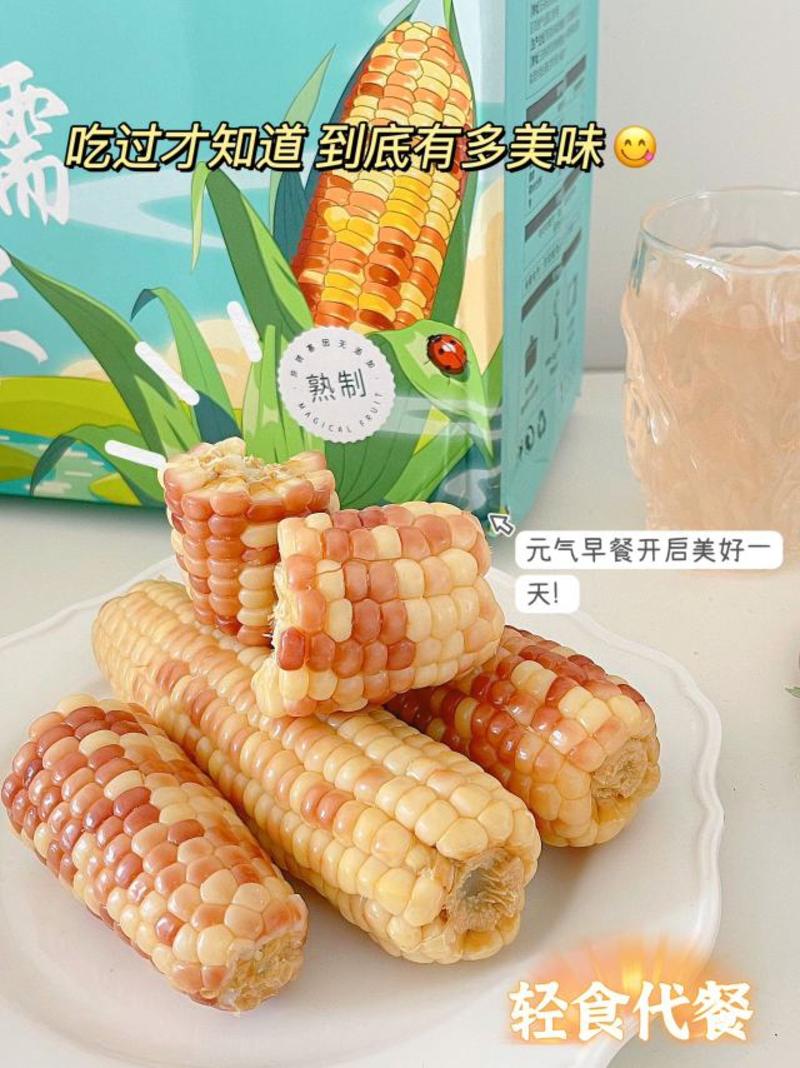 西双版纳香糯小玉米(熟制)净含2千克精美礼盒装