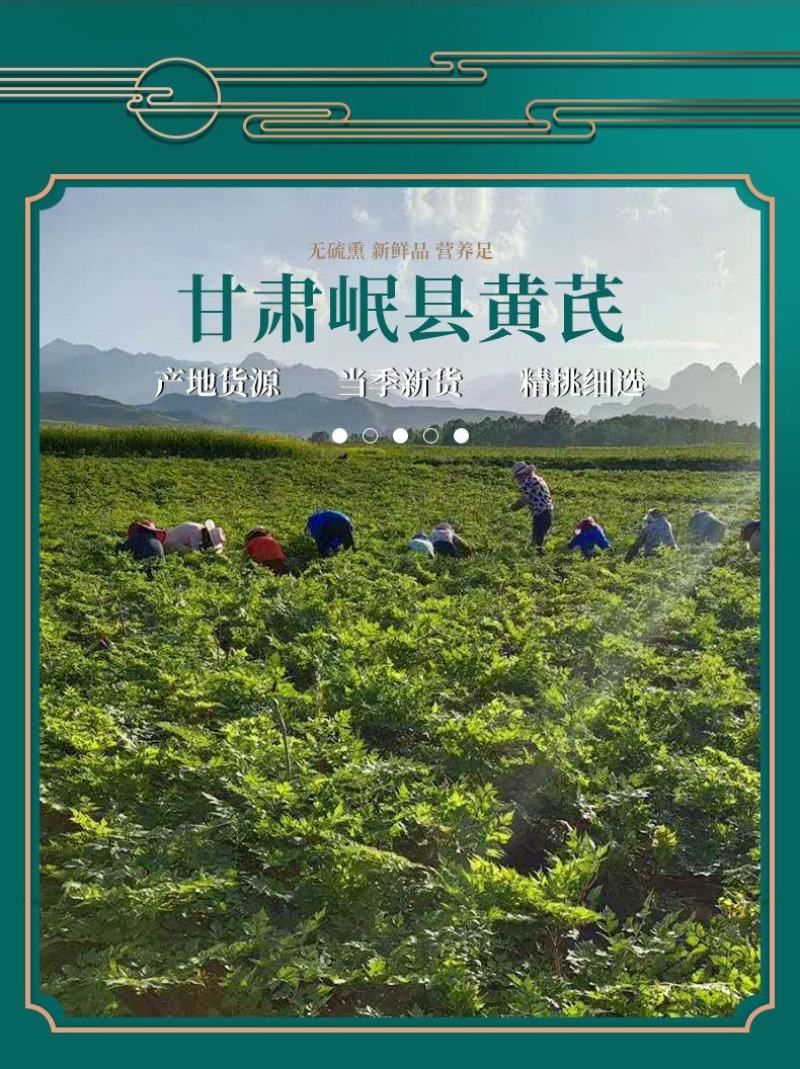 黄芪大片北芪片甘肃岷县产地黄芪斜切片农产品黄芪瓜子片