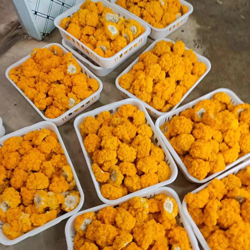 金耳鲜品