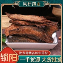 甄选正品中药材锁阳切片干泡水泡酒料男人滋补另售野生肉苁蓉
