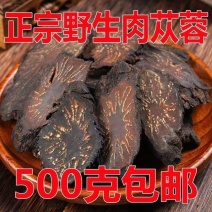 肉苁蓉野生阿拉善整根切片鲜干片滋补持久内蒙古大芸泡茶水泡