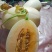小甜瓜