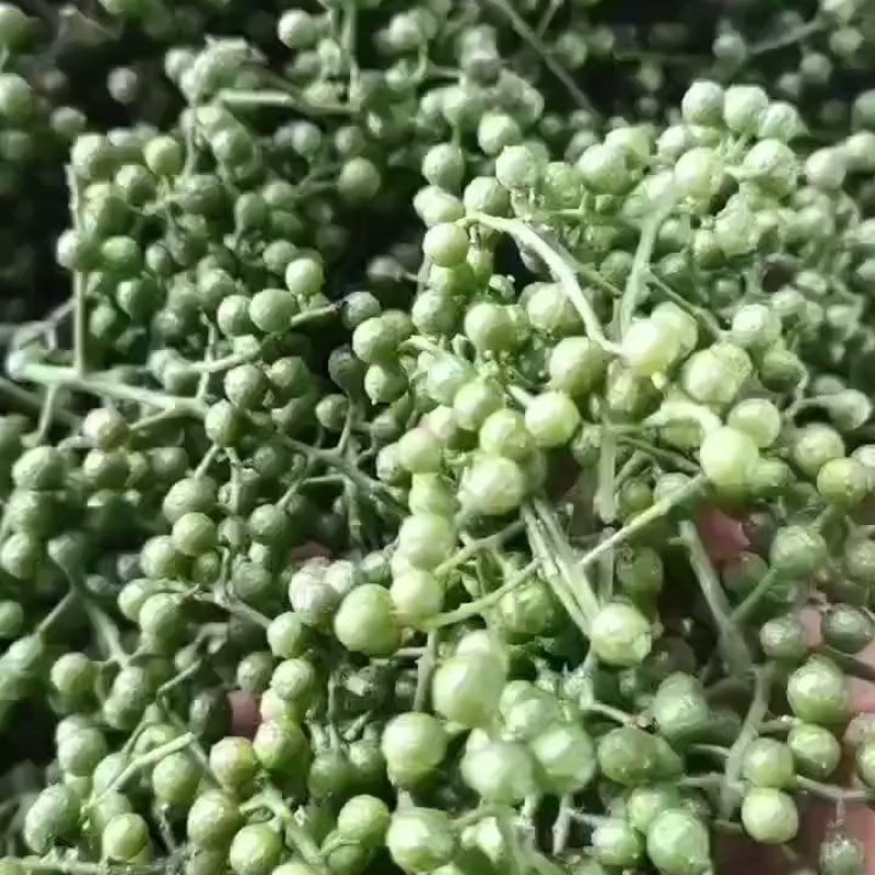 鲜花椒