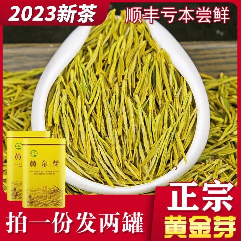 正宗黄金芽2023年新茶白茶雨前特级安吉高山茶叶
