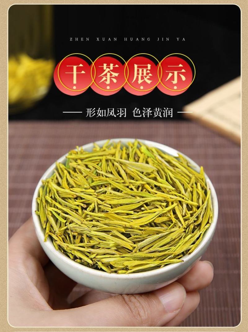 正宗黄金芽2023年新茶白茶雨前特级安吉高山茶叶