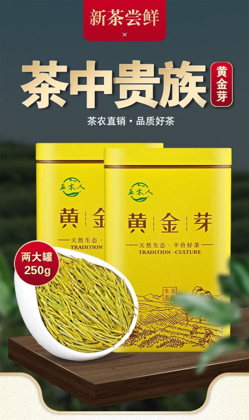 正宗黄金芽2023年新茶白茶雨前特级安吉高山茶叶