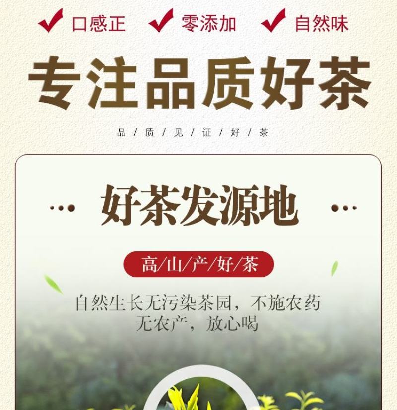 正宗黄金芽2023年新茶白茶雨前特级安吉高山茶叶