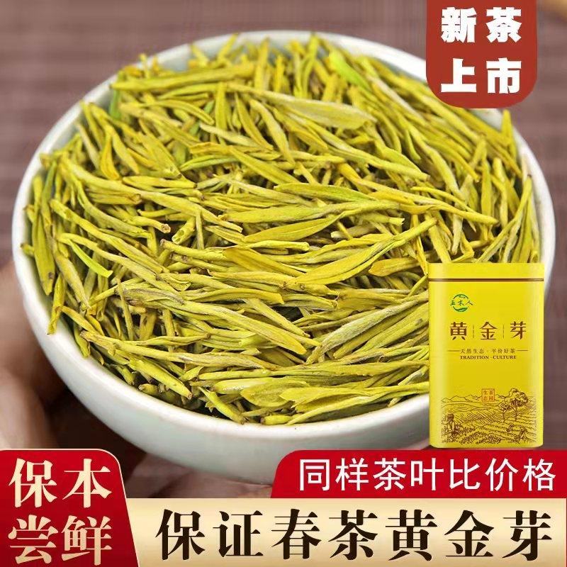 正宗黄金芽2023年新茶白茶雨前特级安吉高山茶叶