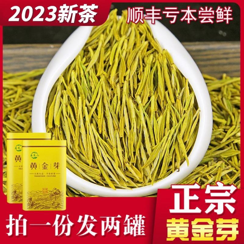 正宗黄金芽2023年新茶白茶雨前特级安吉高山茶叶