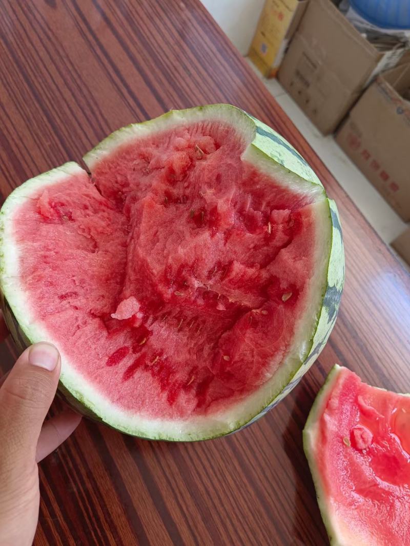 夏乐西瓜，精品美都，产地，小薄皮大红瓤，头茬无籽，包熟甜