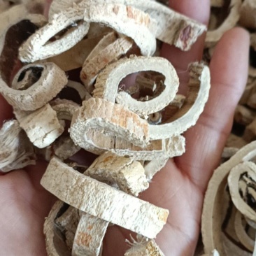 白桑皮，正品老根桑皮，无硫无添加，道地药材，支持在线下单