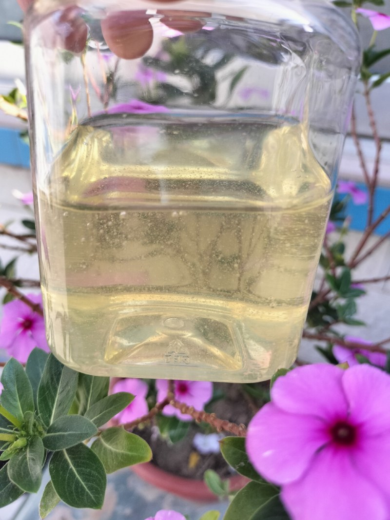 高浓度精品洋槐蜜槐花蜜自有蜂场直供桶装批发
