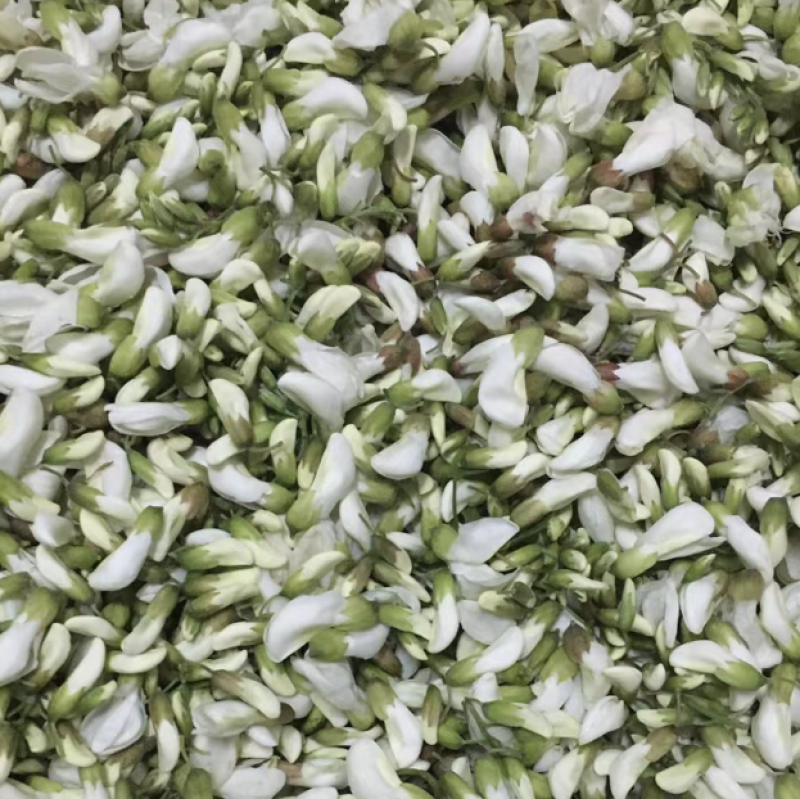 新鲜槐花，大量有货，发全国市场，电商一件代发