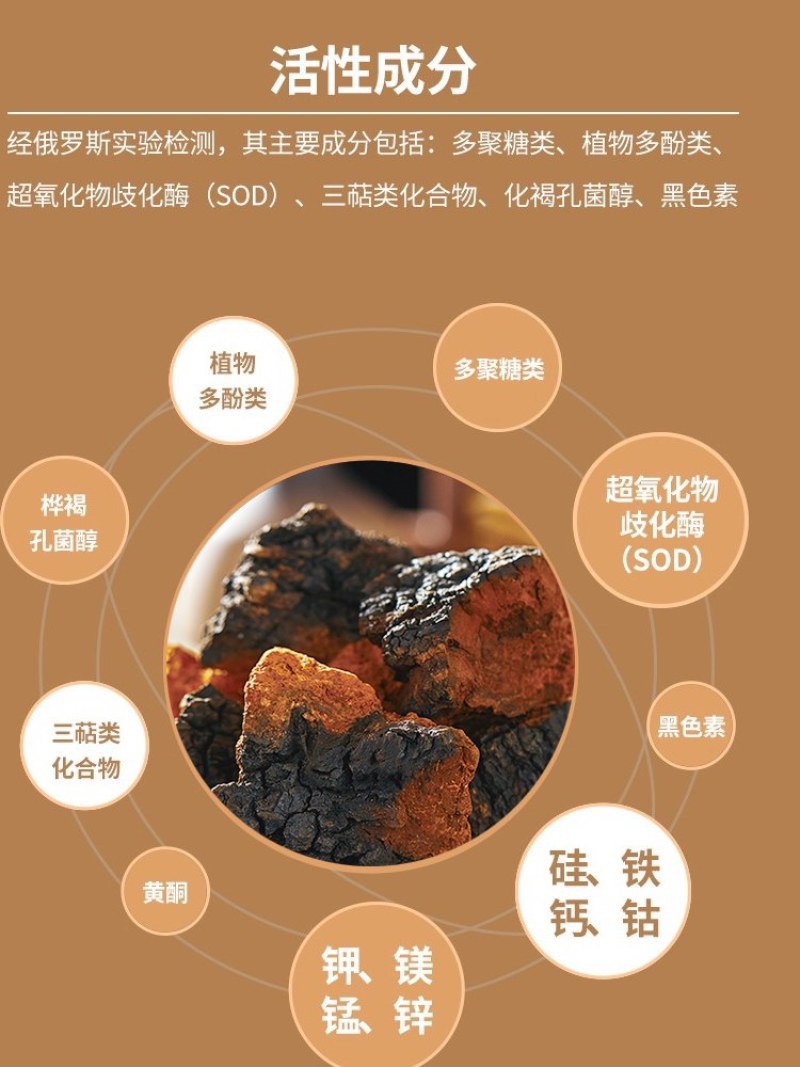 纯野生桦树茸品质保证稳定供货