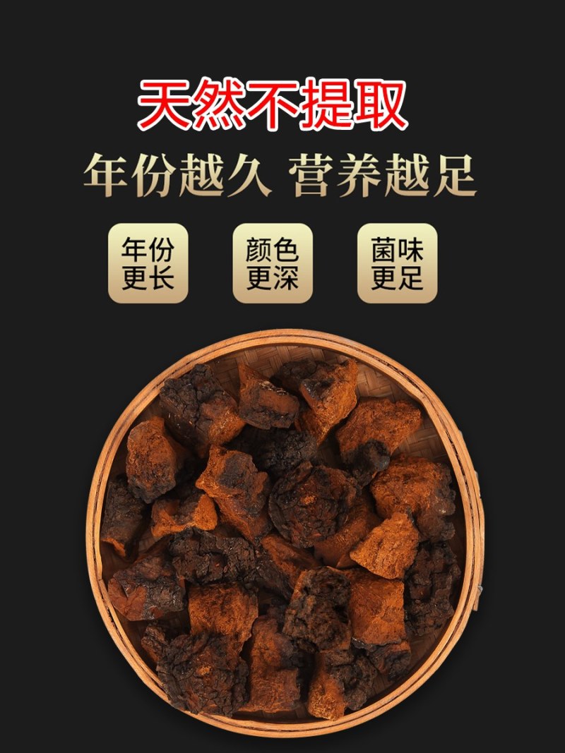 纯野生桦树茸品质保证稳定供货