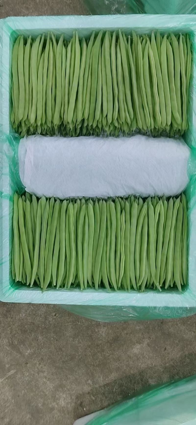云南场区精选蔬菜