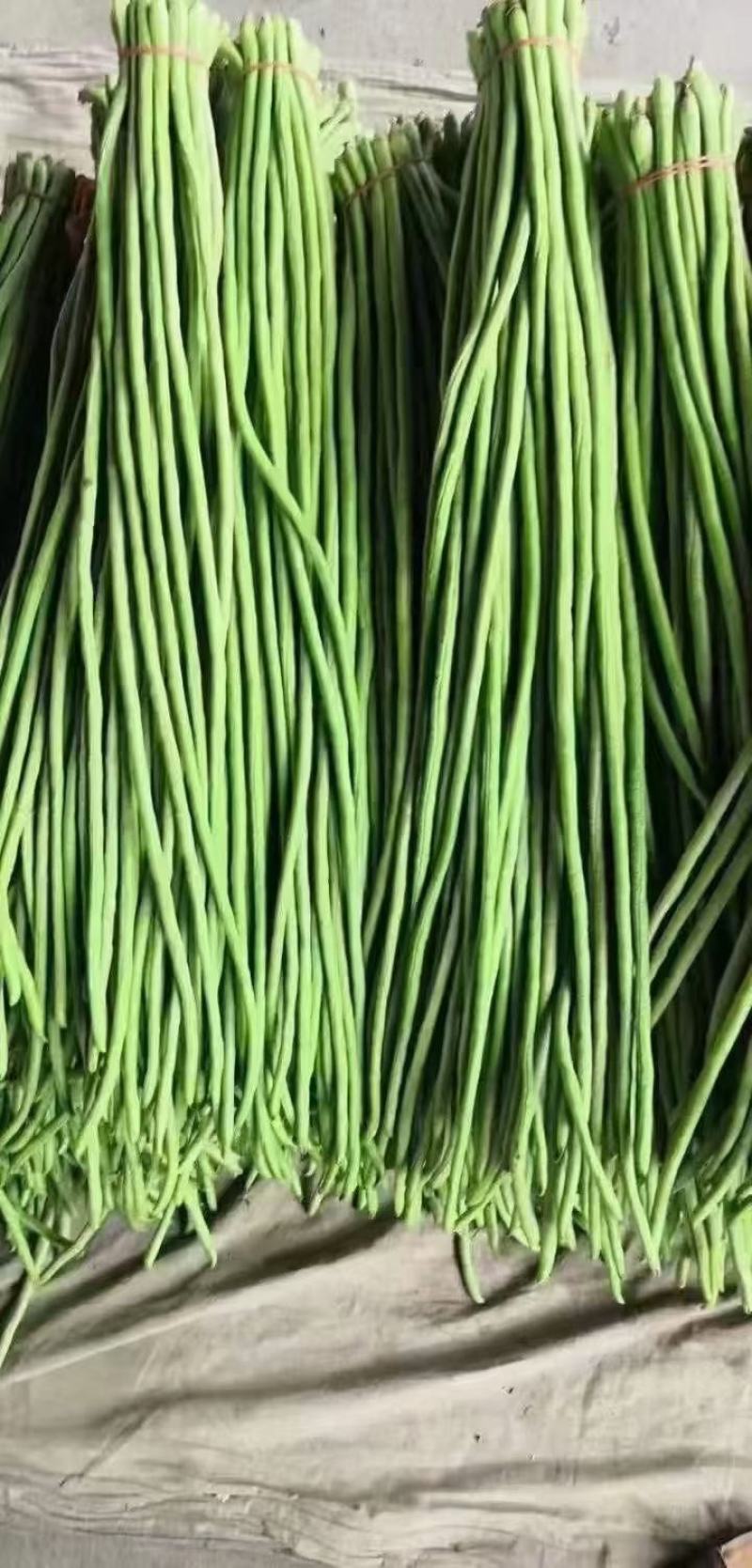 云南场区精选蔬菜