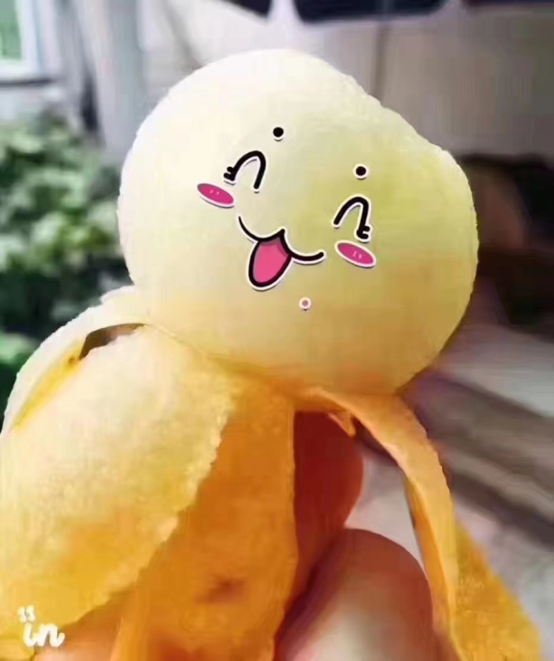 苏州东山白玉枇杷