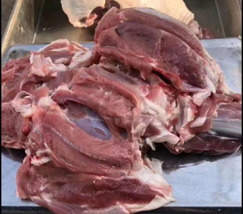 羔羊后腿肉厂家直发一手货源批发品质保证价格美丽