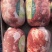 羔羊后腿肉厂家直发一手货源批发品质保证价格美丽