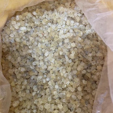 雪莲子单片雪莲子