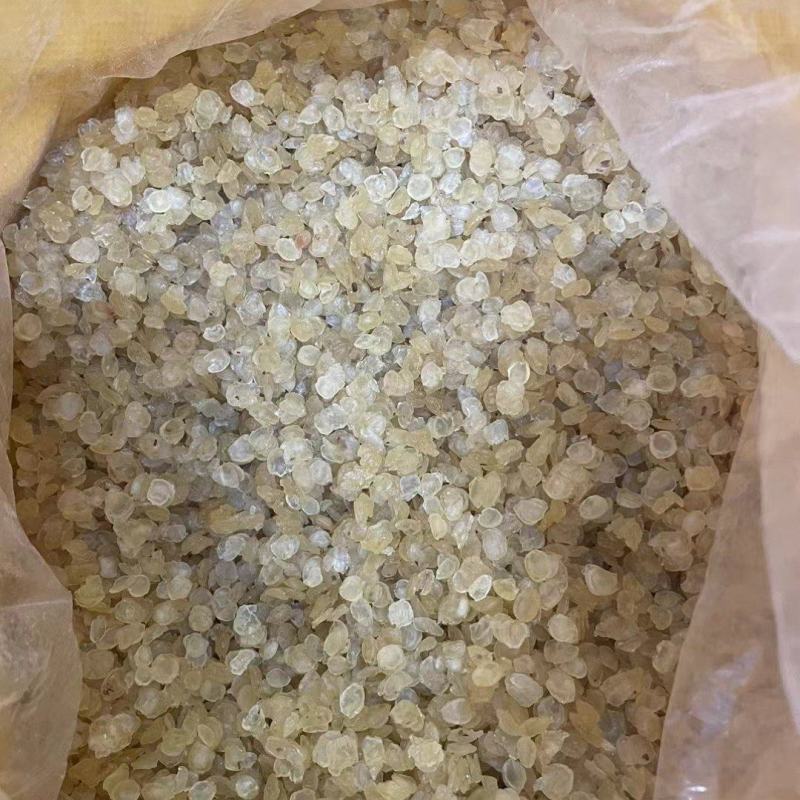 雪莲子单片雪莲子