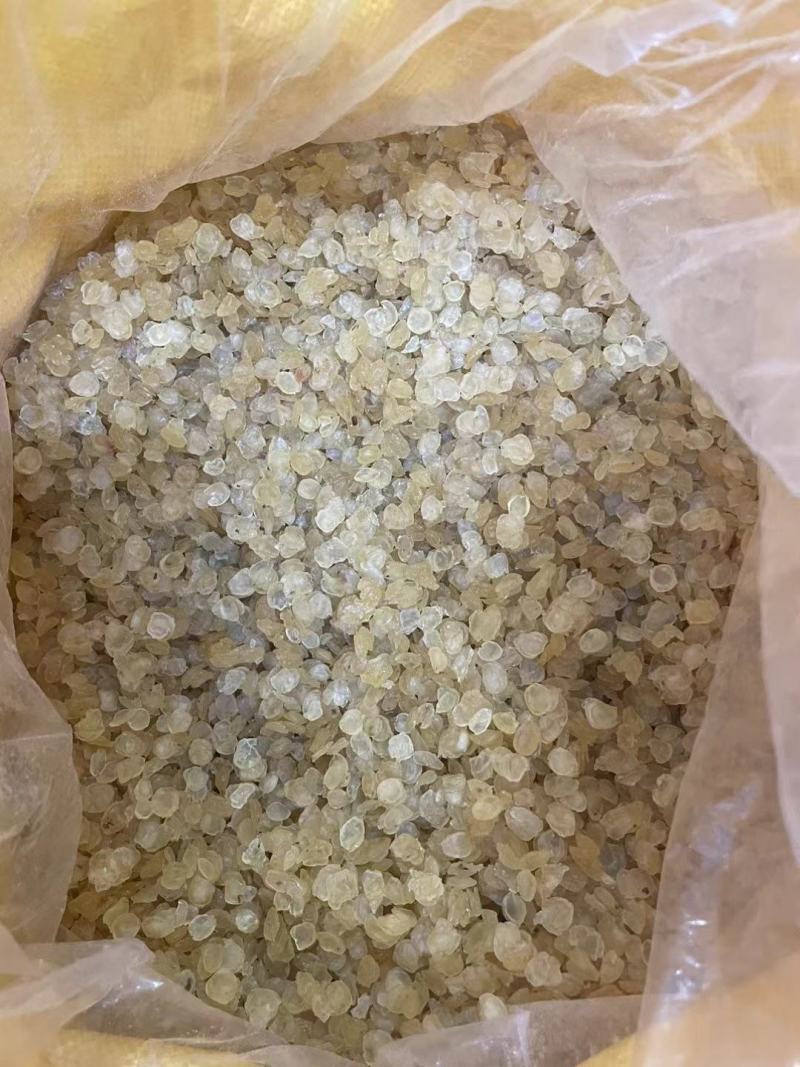雪莲子单片雪莲子