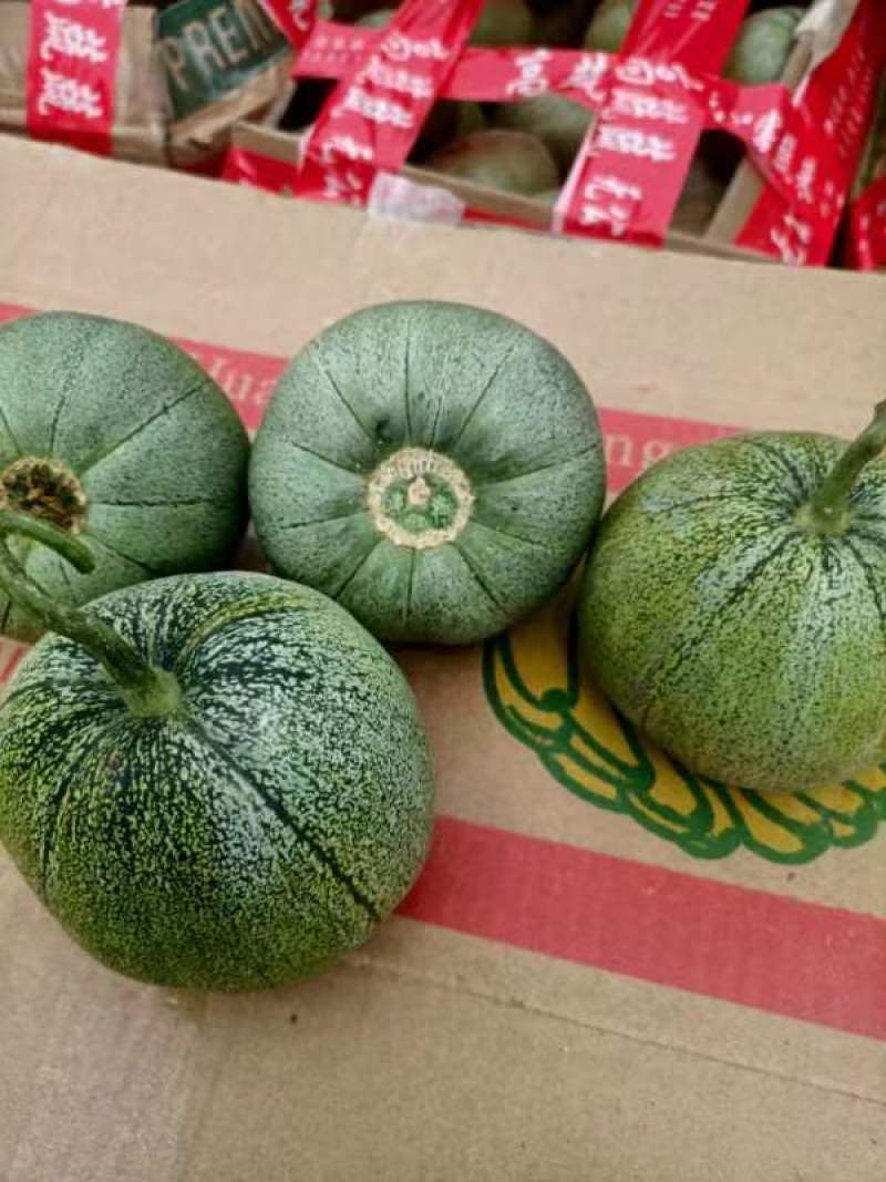 甜瓜大量有货价格便宜