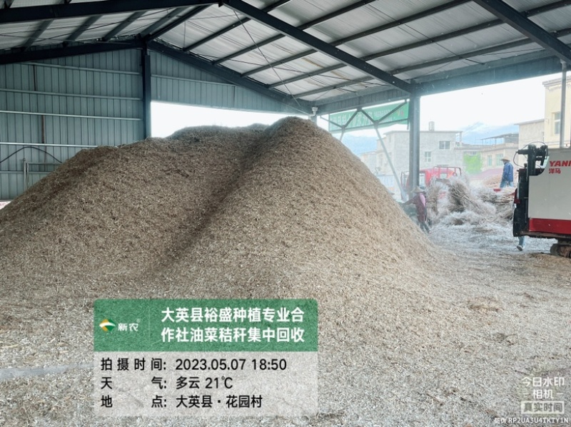油菜秸秆粉碎料