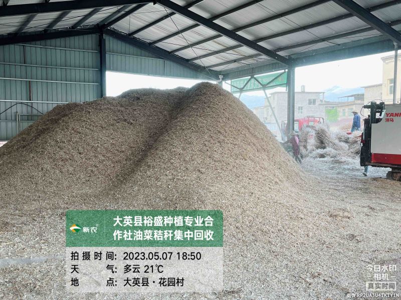 油菜秸秆粉碎料
