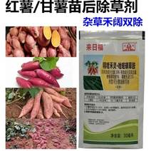 来日福甘薯红薯除草剂16%精喹禾灵唑嘧磺草胺地瓜田杂草