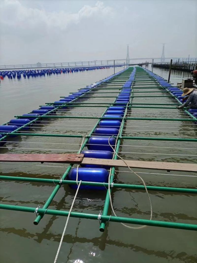 玻璃纤维管浮排生蚝养殖玻璃纤维杆