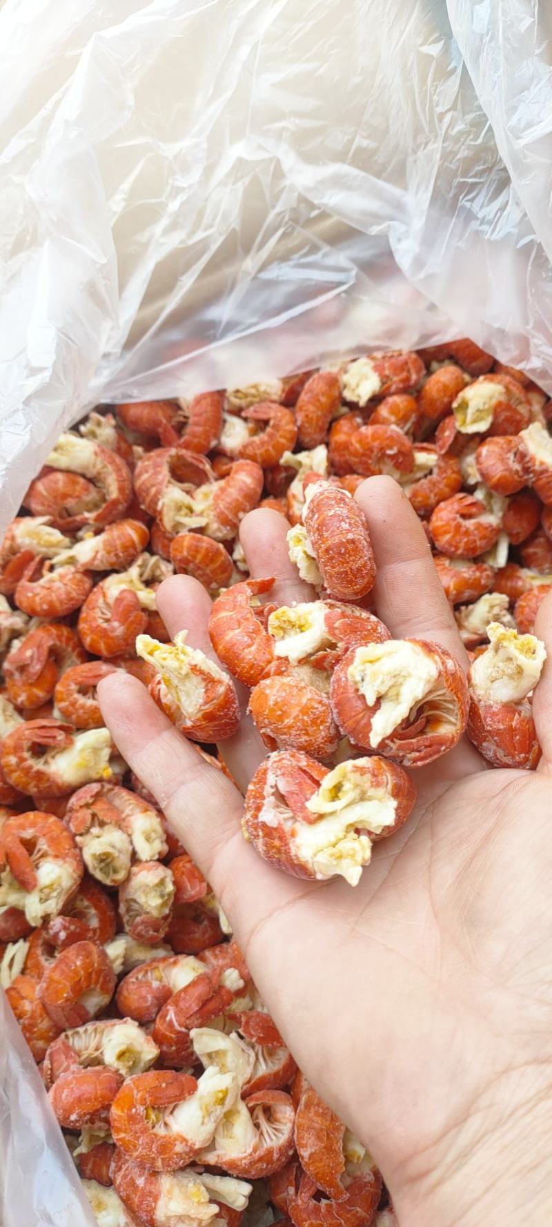 龙虾尾质量保证价格优惠对接全国市场商超电商