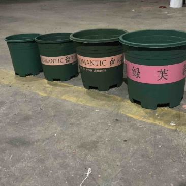 高款控根加仑盆，颜色有绿黑红厂家直销