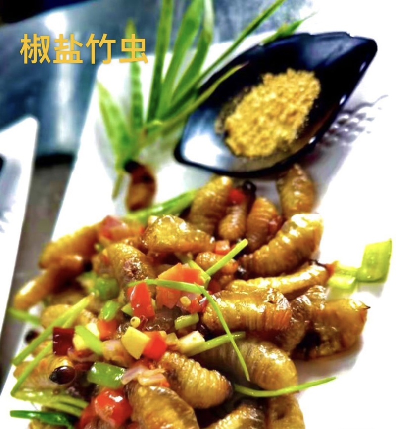 竹虫竹蛹
