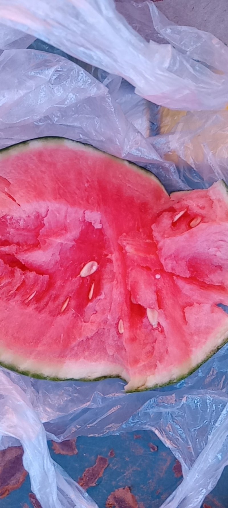 精品吊瓜