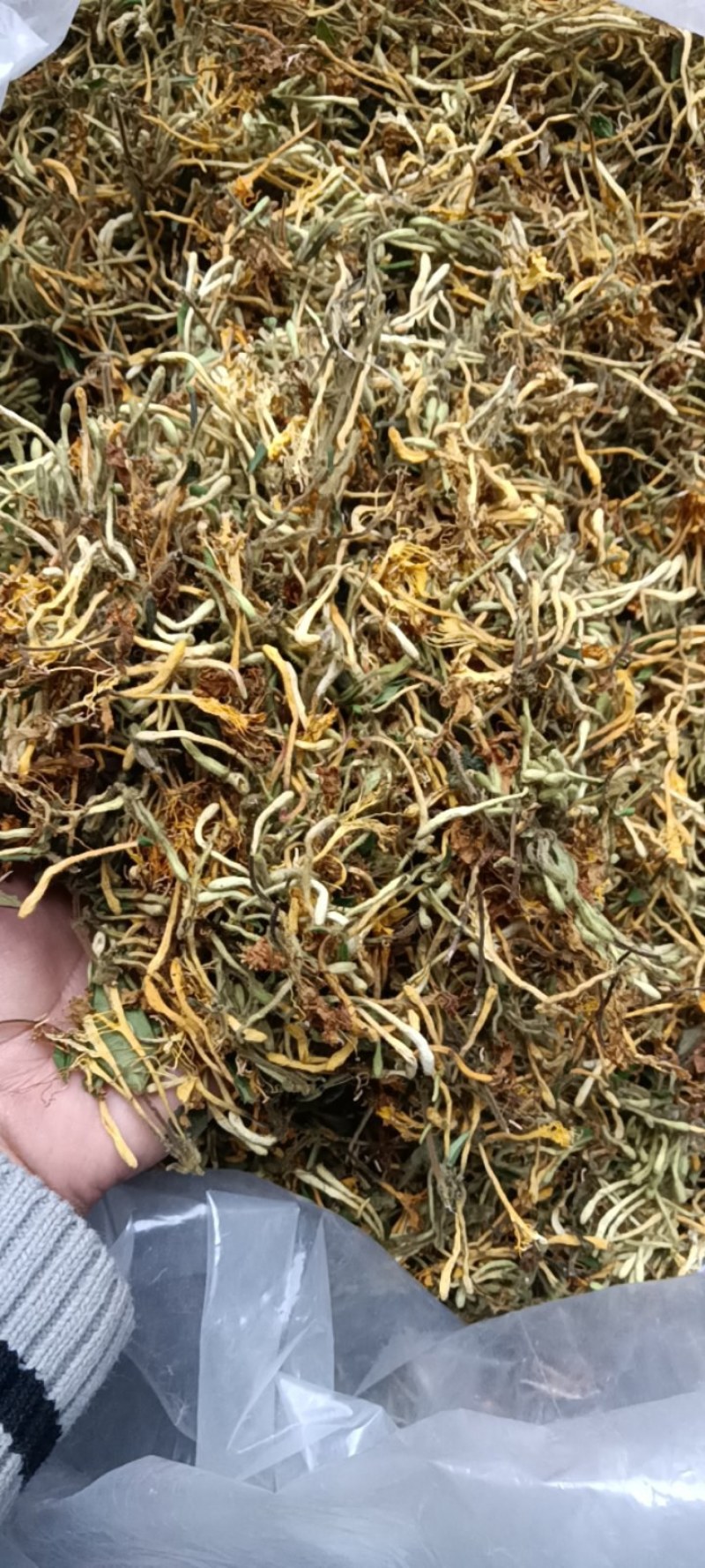 江西野生金银花干货可以泡茶香味十足甜甜的味道