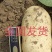 山东希森，荷兰！沃土，内蒙V7，陕西榆林货，