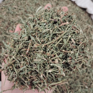 萹蓄，编蓄野生，产地山东，产地地货源，保质保量，贤帅药材