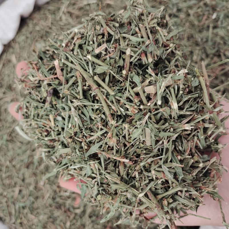 萹蓄，编蓄野生，产地山东，产地地货源，保质保量，贤帅药材