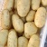 [新鲜黄心土豆]各种规格三两以上，商超优选，诚信代发