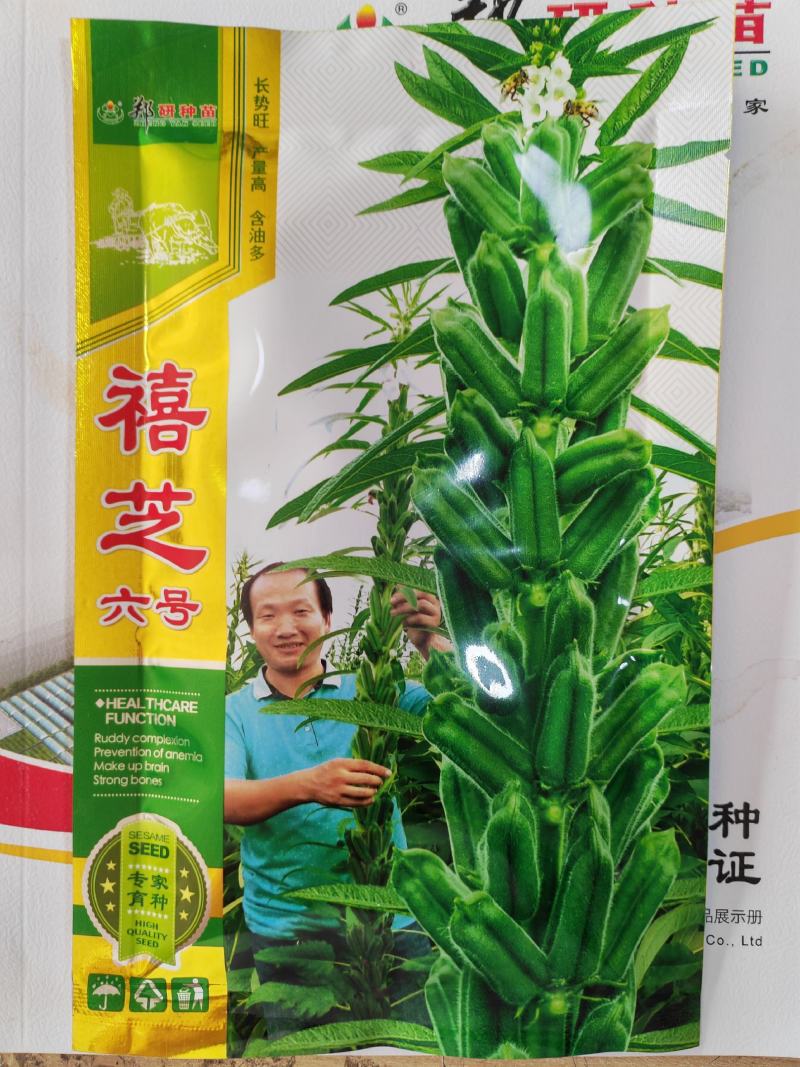 黑芝麻种子白芝麻种子郑芝麻种子100g
