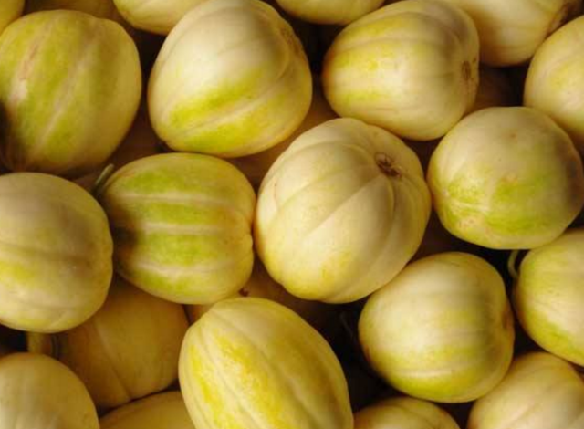 一张图表展示星甜甜瓜的主要营养成分及其含量比例 甜瓜营养成分表