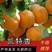 河北杏晋州凯特杏货源充足全国发货产地直发欢迎来电咨询