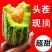 博洋9号欢迎全国各地新老客户前来收购