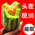 博洋9号欢迎全国各地新老客户前来收购