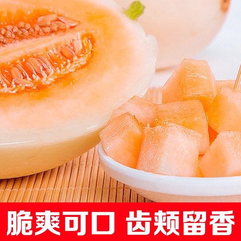 红金蜜精品甜瓜，红肉脆梨甜瓜，欢迎新老客户前来收购。